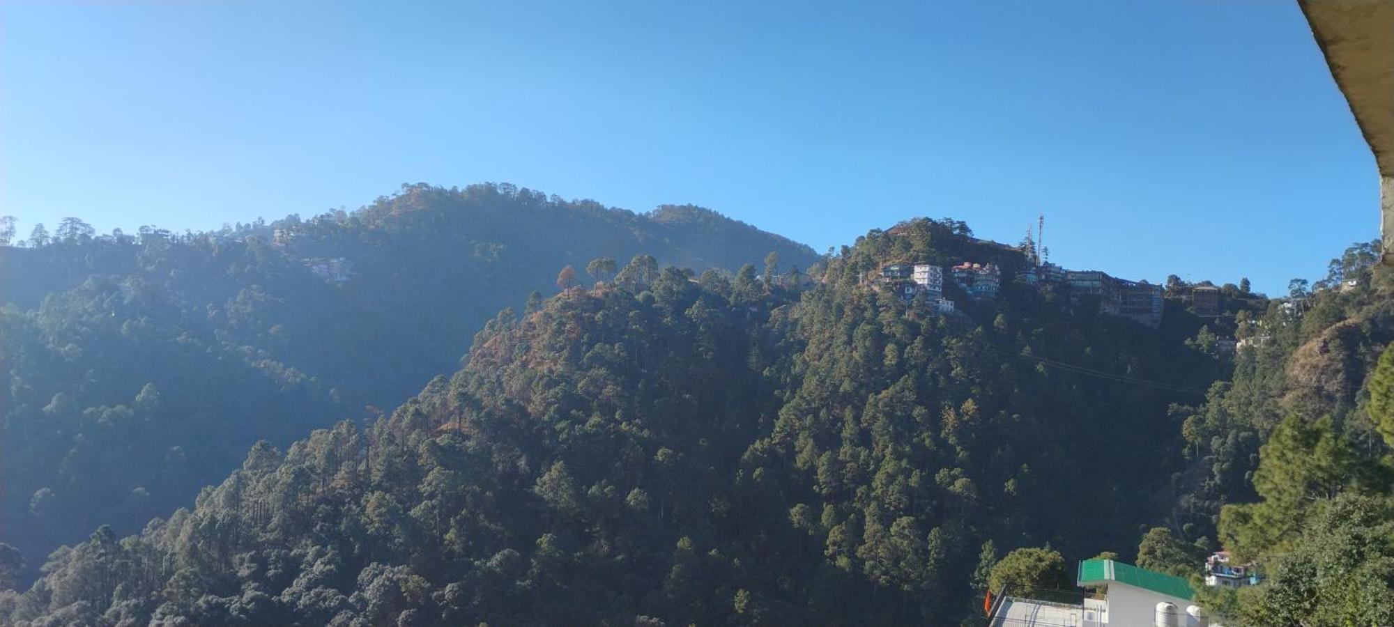 Thakur Homes- Couple And Family Friendly Homestay 西姆拉 外观 照片